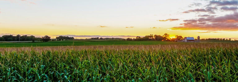 Conservis Brand Success Story