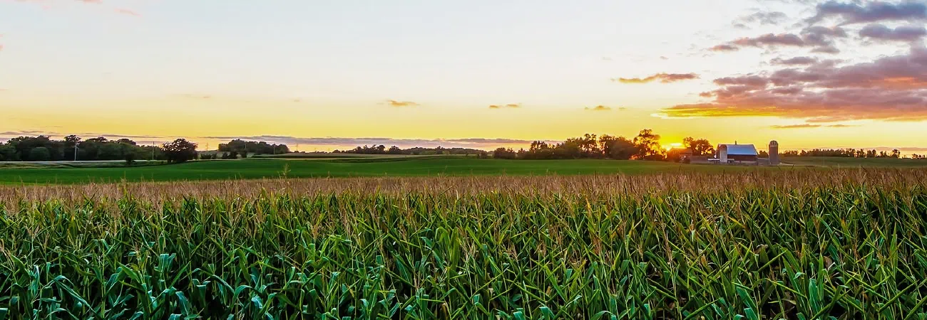 Conservis Brand Success Story