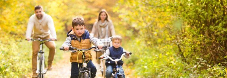 Chisago County Branding Success Story